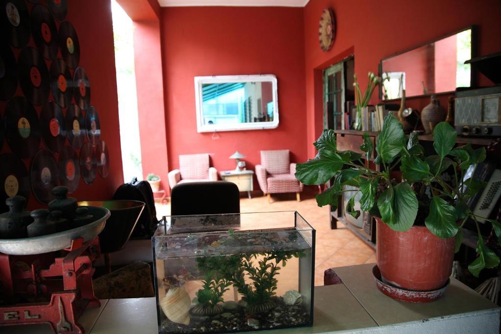 Trip'N'Hostel Τίρανα Εξωτερικό φωτογραφία